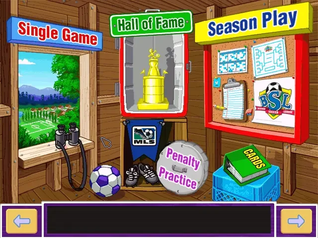 Backyard Soccer 2004