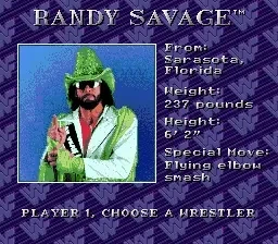 WWF Royal Rumble