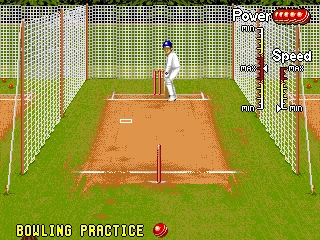 Shane Warne Cricket