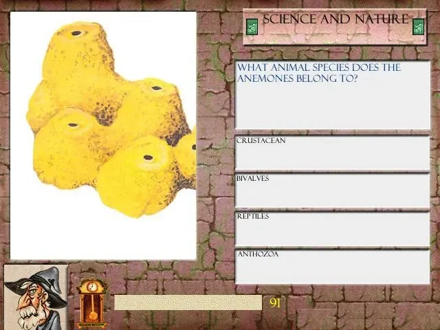 Merlin’s Trivial